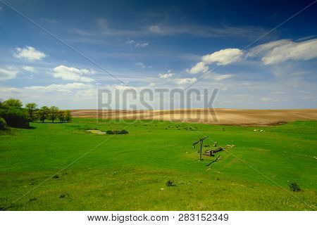 Shadoof On The Pasture Landscape