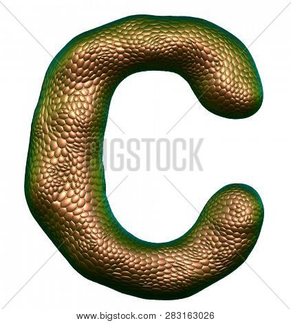 Letter C made of natural gold snake skin texture isolated on white 3d rendering