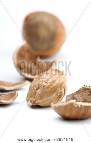 orzechy laskowe