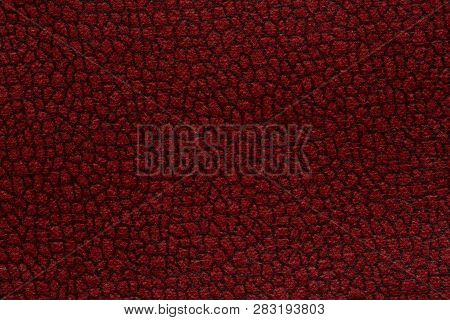 Amazing Textile Background In Contrast Murrey Tone.