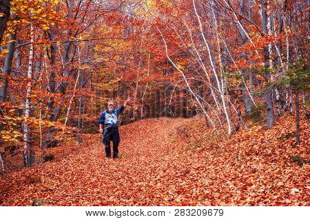 Fantanele Village, Romania - Octomber 20, 2018. A Man In The Fall Forest, Near The Fantanele Village