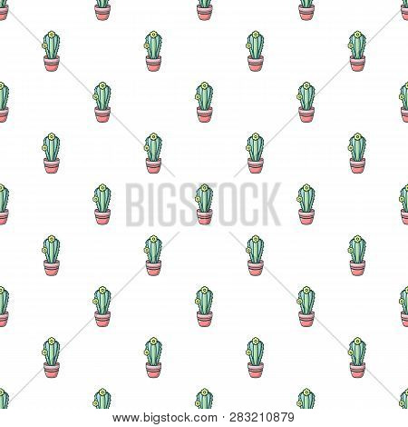 Notocactus Pattern In Cartoon Style. Seamless Pattern Illustration
