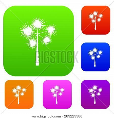 Palm Chamaerops Set Icon In Different Colors Isolated Illustration. Premium Collection