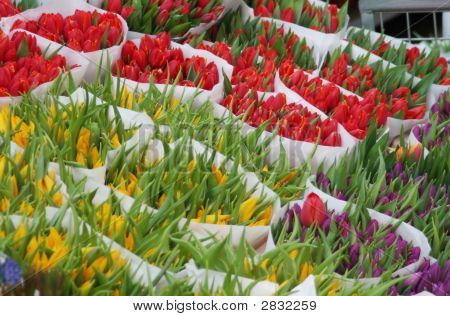 Flowermarket のチューリップ