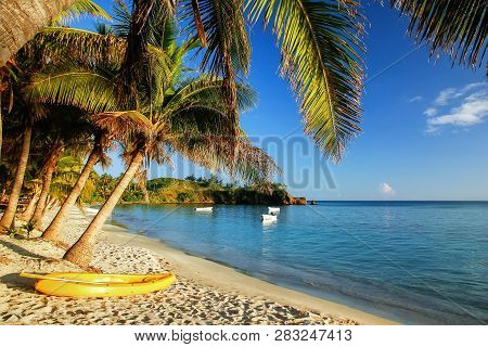 Sea Kayak On The Beach Near Palm Trees, Nacula Island, Yasawas, Fiji
