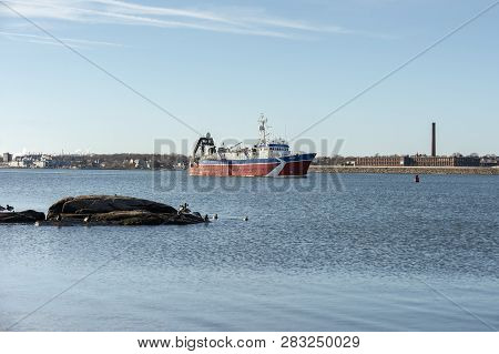 New Bedford, Massachusetts, Usa - February 6, 2019: Brant Hanging Out On The Rocks As Iceland-based 