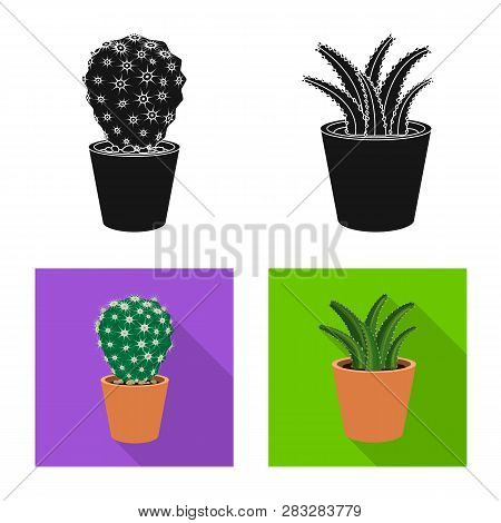 Vector Design Of Cactus And Pot Icon. Set Of Cactus And Cacti Vector Icon For Stock.