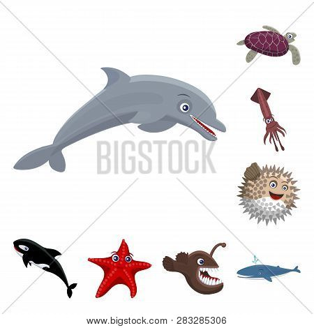 Vector Illustration Of Sea And Animal Icon. Set Of Sea And Marine Stock Vector Illustration.