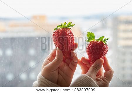 Japan Strawberry In Hand