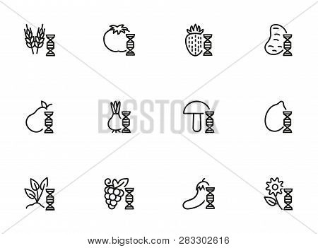 Vegetable Structure Line Icon Set. Set Of Line Icons On White Background. Dna Structure, Pear, Mushr