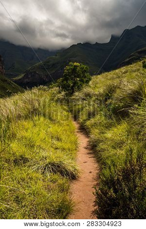 The Tugela Gorge Hiking Trail Leading Along A Brightly Lit Hillside Towards The Amphitheatre Mountai