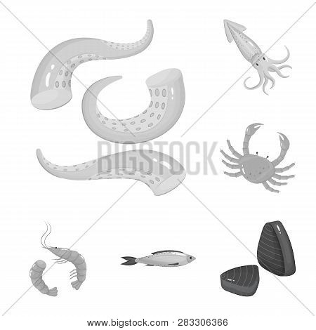 Vector Design Of Seafood And Healthy Icon. Set Of Seafood And Ocean Stock Symbol For Web.