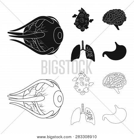 Vector Illustration Of Biology And Scientific Symbol. Set Of Biology And Laboratory Stock Vector Ill