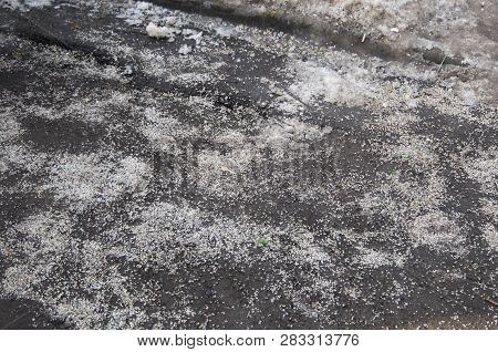 Deicing Chemicals On Asphalt Road In Moscow