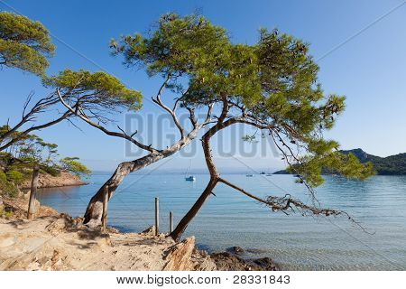 Porquerolles-szigetét, Franciaország