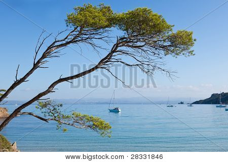 Porquerolles-szigetét, Franciaország