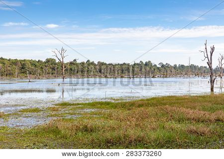 Baray At The Neak Pean Temple, Siem Reap, Cambodia, Asia