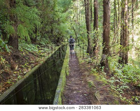 Footpath Along Lavada - Water Irrigation Canals Covered By Moss And Lush Vegetation On Hiking Trail 