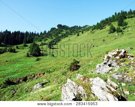 Alpine Pastures And Meadows On The Slopes Of Alvier Peak In The Appenzell Alps Mountain Range - Cant