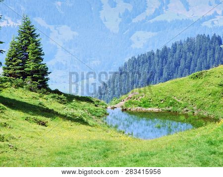 Alpine Pastures And Meadows On The Slopes Of Alvier Peak In The Appenzell Alps Mountain Range - Cant