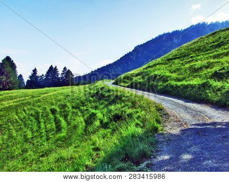 Alpine Pastures And Meadows On The Slopes Of Alvier Peak In The Appenzell Alps Mountain Range - Cant