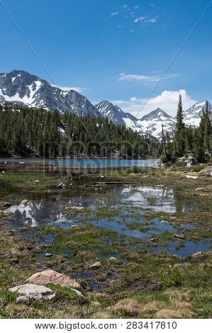 Small Creek In Eastern Sierra Nevada Mountains In California, Along The John Muir Trail In Little La