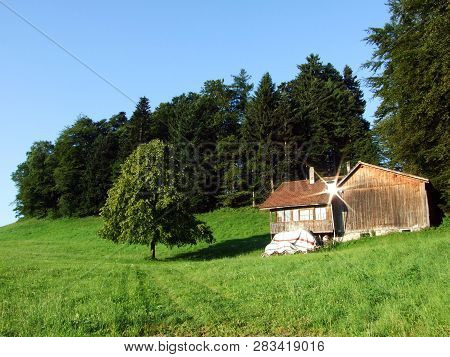 Alpine Livestock Farms And Stables On The Slopes Of Alvier Mountain In The Appenzell Alps Mountain R