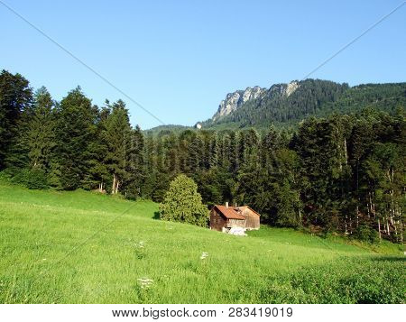Alpine Livestock Farms And Stables On The Slopes Of Alvier Mountain In The Appenzell Alps Mountain R