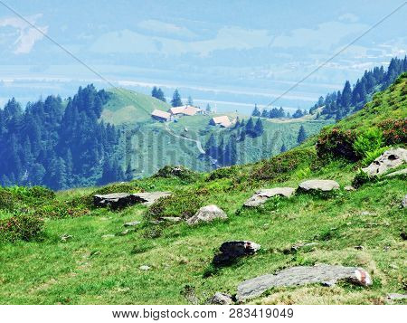 Alpine Livestock Farms And Stables On The Slopes Of Alvier Mountain In The Appenzell Alps Mountain R