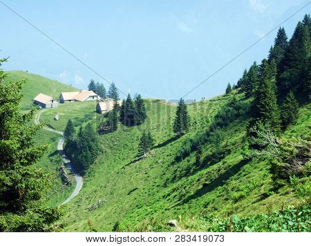 Alpine Livestock Farms And Stables On The Slopes Of Alvier Mountain In The Appenzell Alps Mountain R