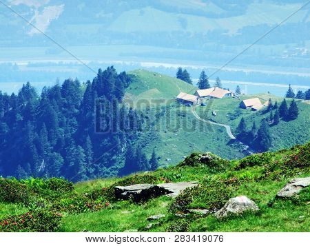 Alpine Livestock Farms And Stables On The Slopes Of Alvier Mountain In The Appenzell Alps Mountain R