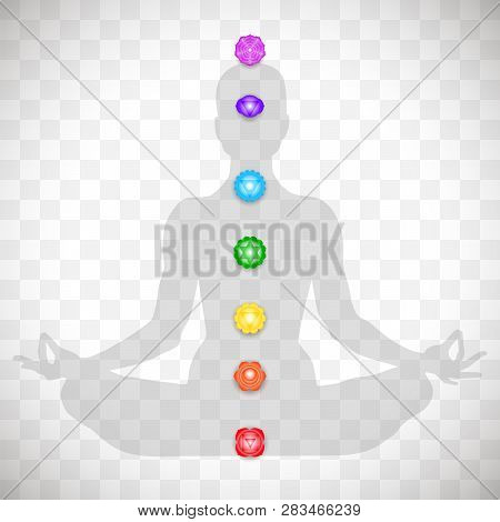 Human Body In Yoga Lotus Asana And Seven Colorful Chakras Symbols Isolated On Transparent Background