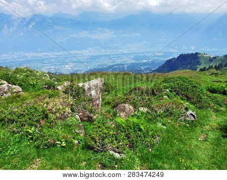 View Of The River Rhine Valley (rheintal) From The Alvier Mountain - Canton Of St. Gallen, Switzerla