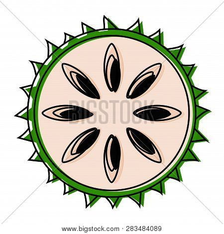 Isolated Cut Soursoup Image, Vector Illustration Design