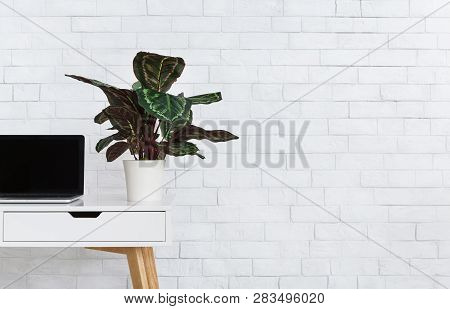 Cozy Workplace With Laptop And Maranta Plant On Table, Empty Space