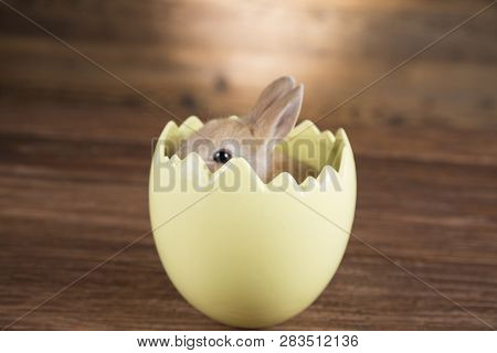 Easter Rabbit In The Shell Of Eggs. Colorful Eggs.
