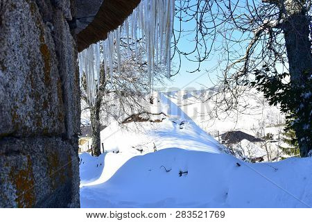 Piornedo, Ancares, Lugo Province, Galicia, Spain. Ancient palloza houses made with stone and straw with snow, ice and icicles. Snowy mountain village with trees, blue sky, sunny day.