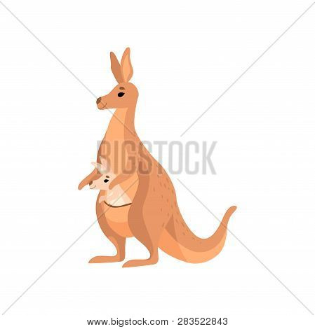 Brown Kangaroo Carrying Baby In Its Pouch, Cute Wallaby Australian Animal Mother Character Vector Il
