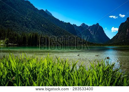 Lake Dobbiaco in the Dolomites, Beautiful Nature Italy natural landscape Alps.