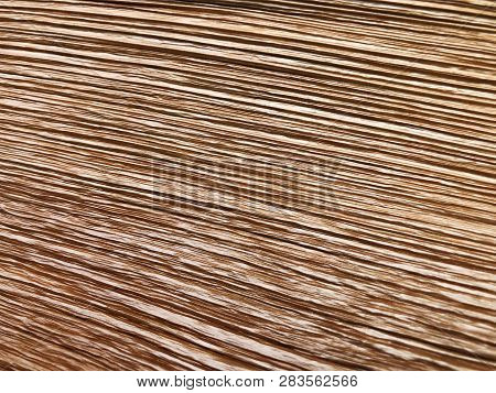 The Structure Of Piece Of Wood. Shot From Close View.