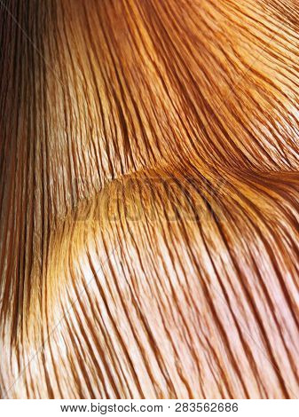 The Structure Of Piece Of Wood. Shot From Close View.