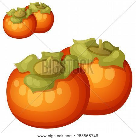 Persimmon Fruit. Cartoon Vector Icon Isolated On White Background. Series Of Food And Drink And Ingr