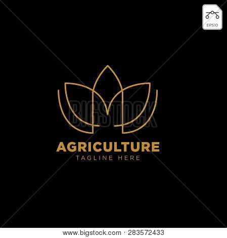 Letter M And Leaf Aco Logo Template Vector Illustration Icon Element