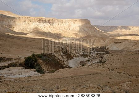 Ein Akev Spring In Negev Desert, Israel