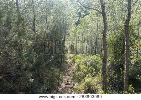 The Mountains Of The Sierra De Irta In Alcocebre