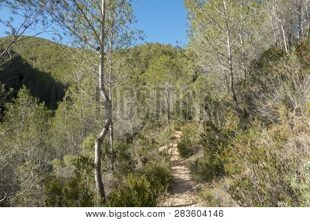The Mountains Of The Sierra De Irta In Alcocebre