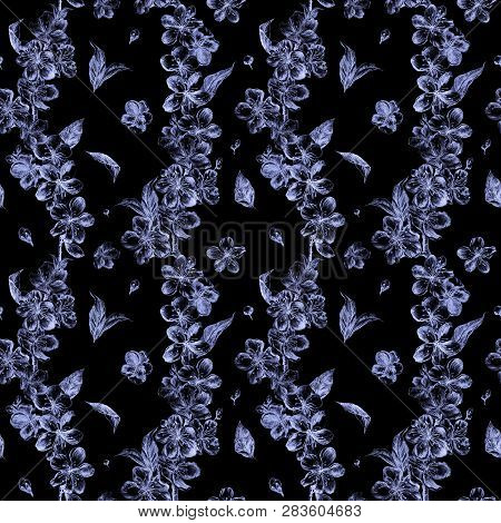 Hand Drawn Charcoal Pencil Illustration Flowers Of The Crystal Ice Blue Pulm Blossoms. Beautiful Ele
