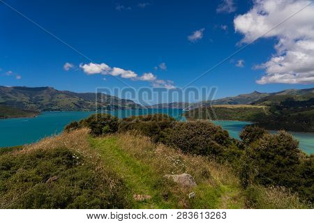 View From The Onawe Track In New Zealand, Amazing Ocean Bay In Akaroa New Zealand, Onawe Walkway Wit