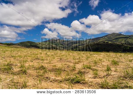 View From The Onawe Track In New Zealand, Amazing Ocean Bay In Akaroa New Zealand, Onawe Walkway Wit