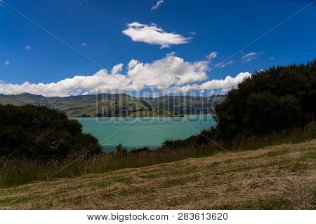 View From The Onawe Track In New Zealand, Amazing Ocean Bay In Akaroa New Zealand, Onawe Walkway Wit